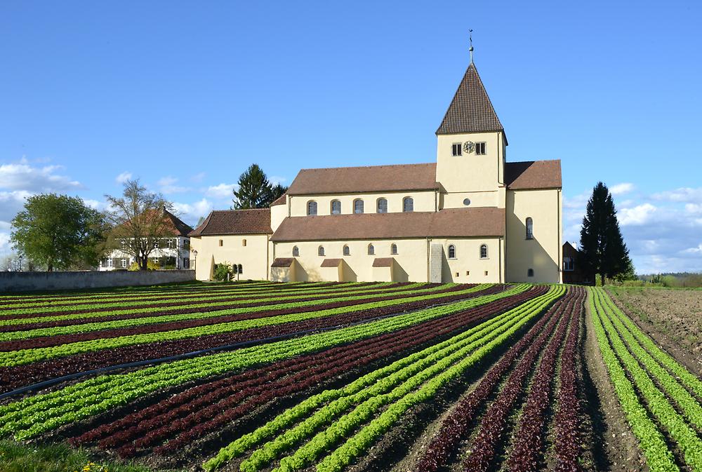 Insel-Reichenau-St