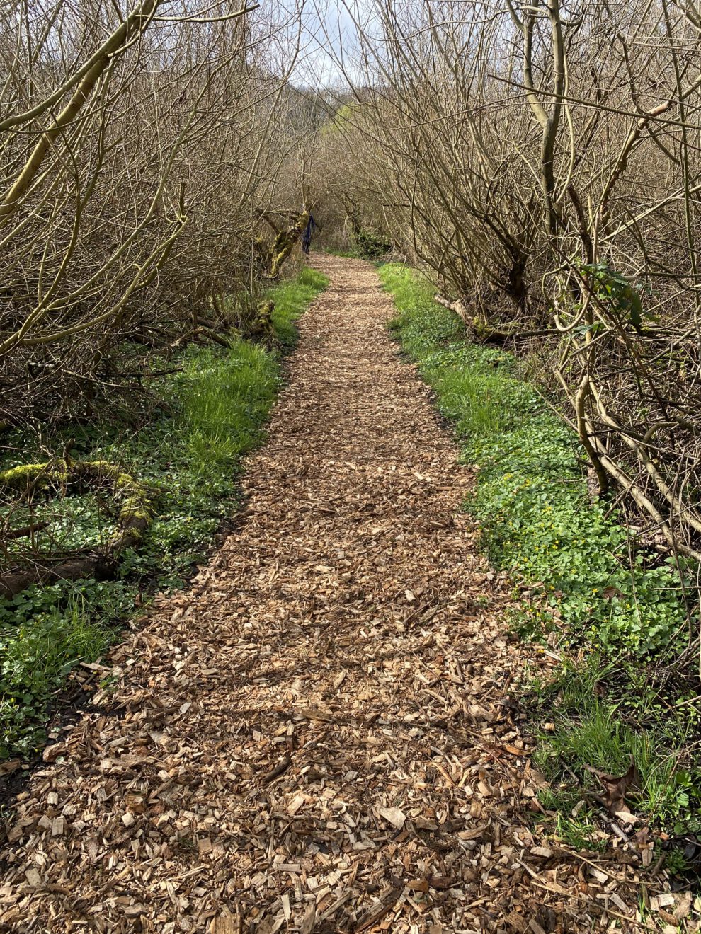 Schilfweg mit neuem Belag