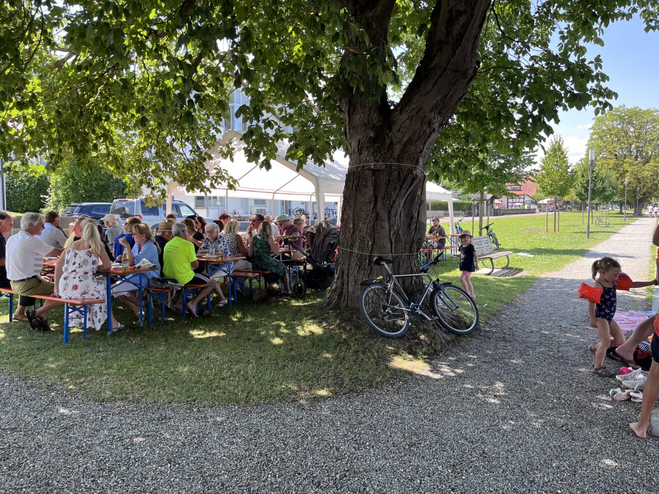 Schatten unterm Baum